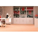 LIBRERIA CON ARMADIO TEXT