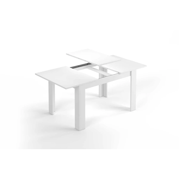 Tavolo a foglie estensibili